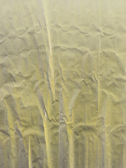 Tauba Auerbach, Untitled (Fold)
2010, Acrylic on canvas
