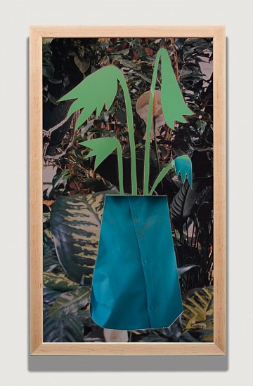 Brian Bress, Blue Flower
2014, High definition single-channel video (color), high definition monitor and player, wall mount, framed